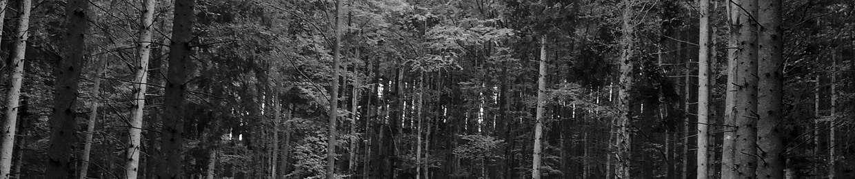 FORTY TREES
