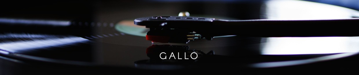 Gallo Productions