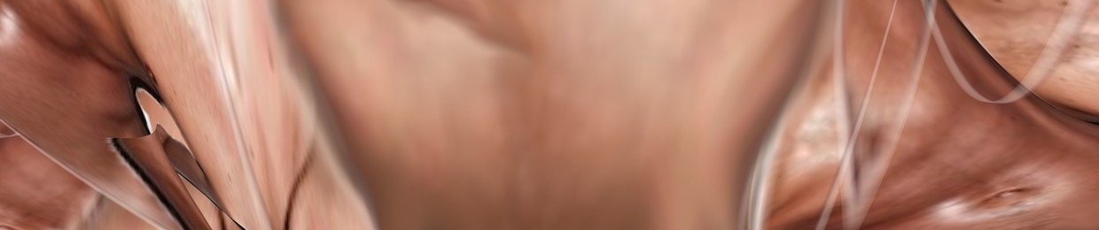 Andrew F B Sunderland