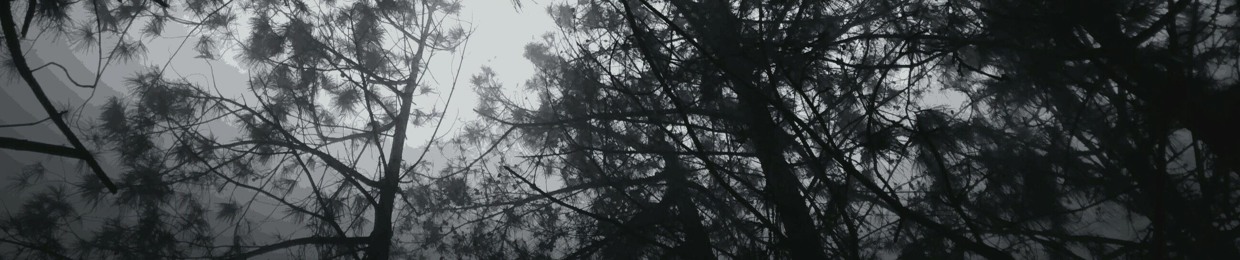 Eerie Night