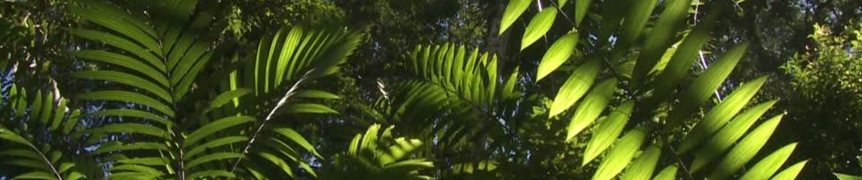 GANKU