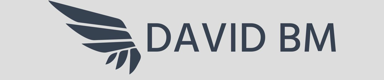 DAVID BM