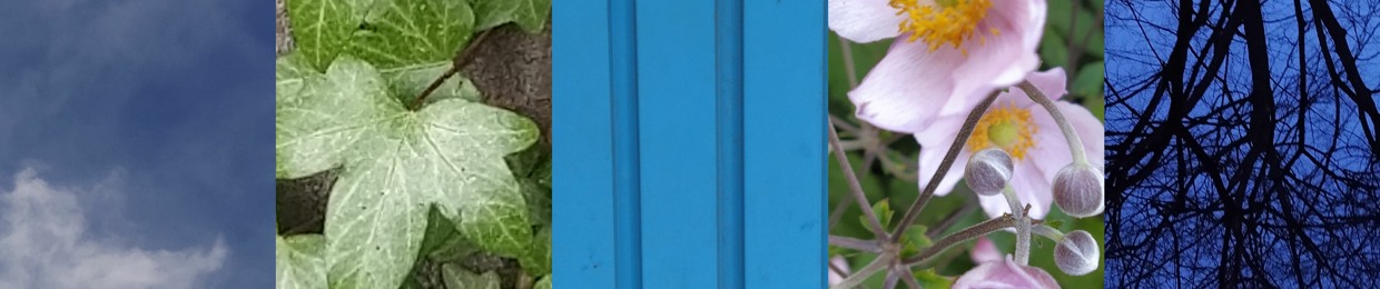 myunfilteredthoughts