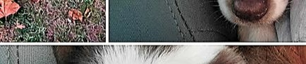 Bobbi Ann McDowell-Thykeson