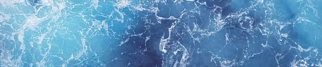 Oceanlife Beat Battles