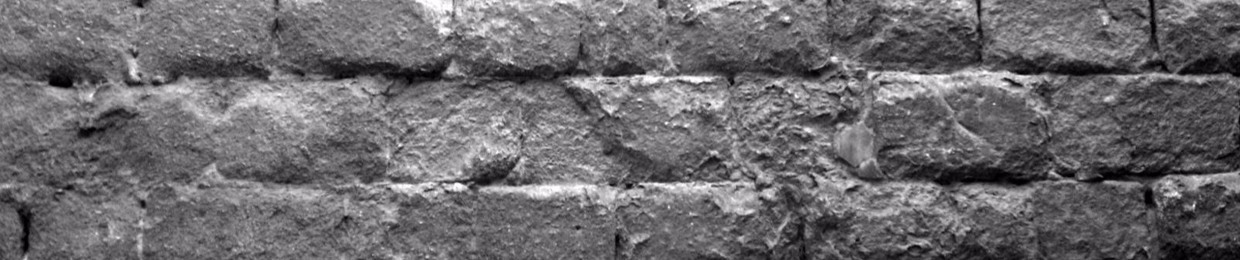 Estricto_Elemento