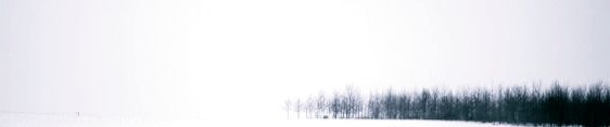 Data_Domain