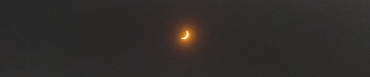 Aulic Veil