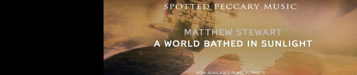 Matthew Stewart Project