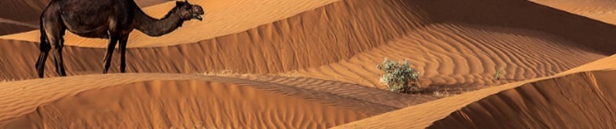 abdulateefs
