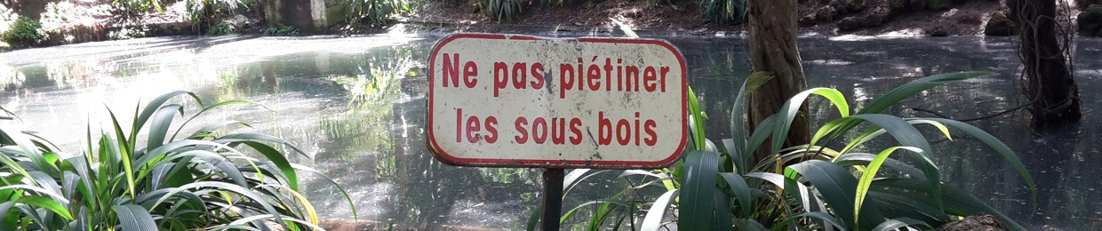 Céline du Chéné & Laurent Paulré