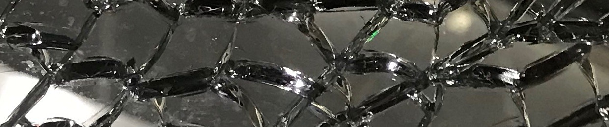 pǝʇᴉqᴉɥoɹdsʇǝɹƃǝɹ