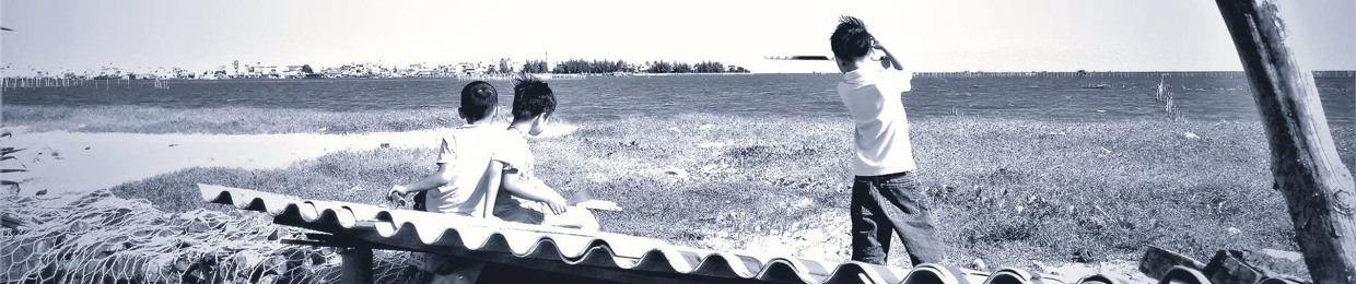 Hoa Nắng