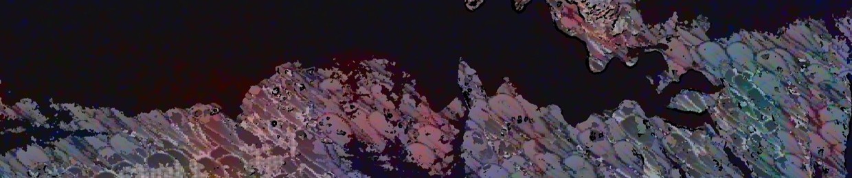 The Stellar Gumption Of