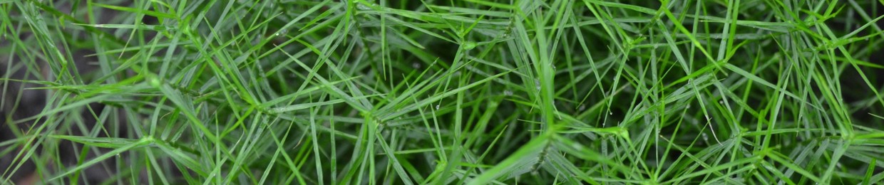 OOIEE - Office Of Interior Establishing Exterior