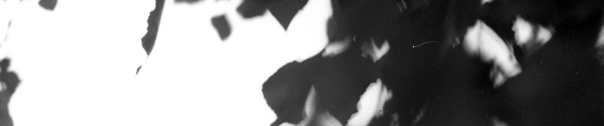 Gianvito Novielli