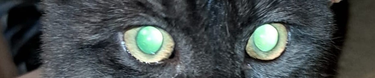 Șefa // Adele Stroh