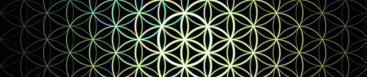 Lid