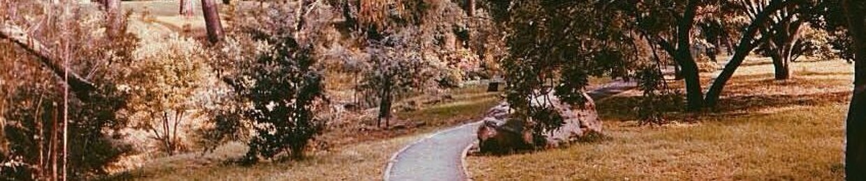joshcrewdson