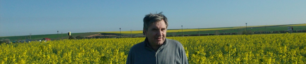 Vasile Vitel