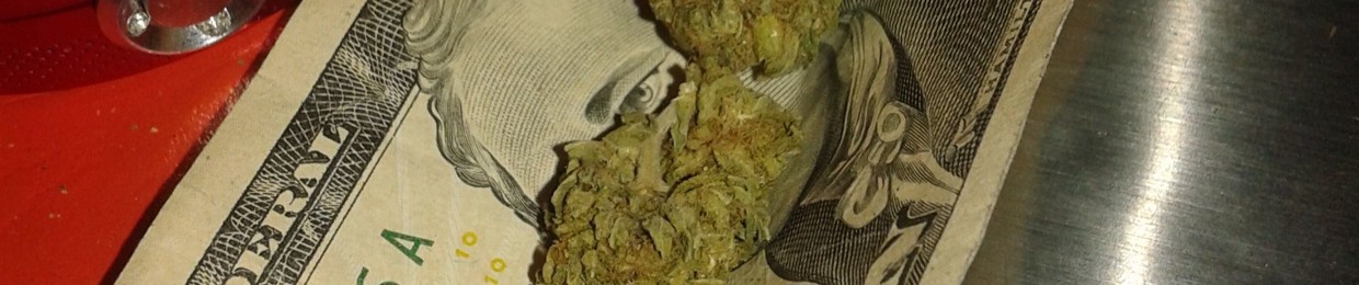 Yung Turtle