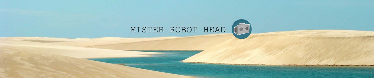 Mister Robot Head