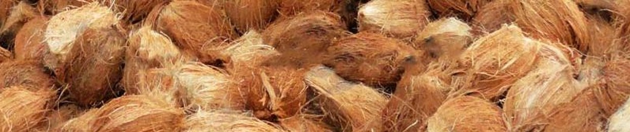 Rolling Coconut