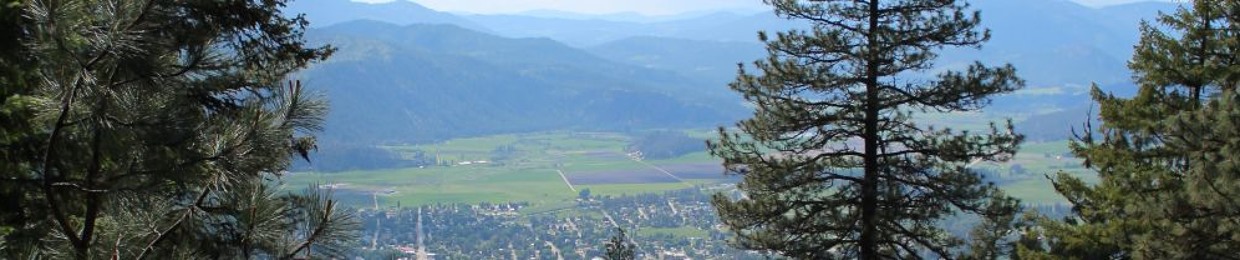 D4NNYW4D3 a.k.a Crazy 3y3