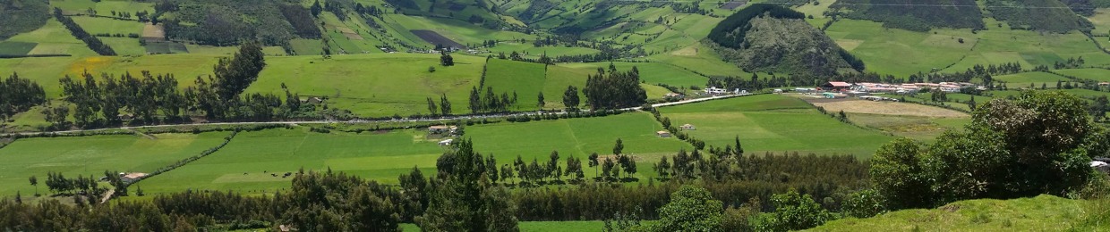 dionicio guatemal