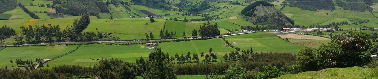 dionicio guatemal