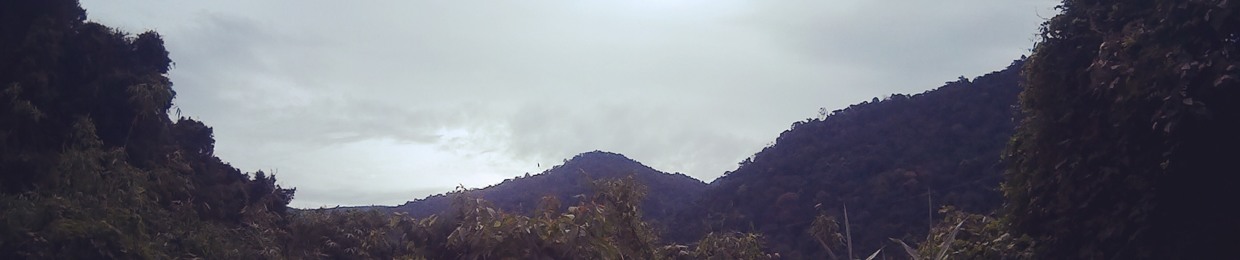 Ngọc Hiếuu