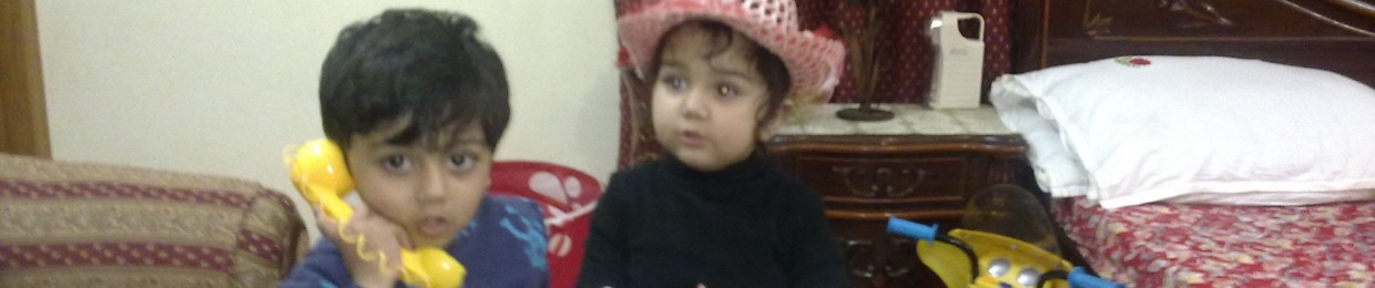 Muhammad Haleem