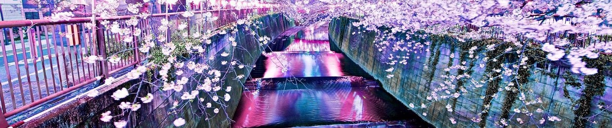 N O S T Δ L G I ◭
