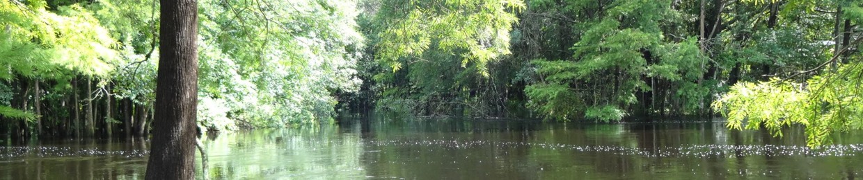 American Indian Airwaves