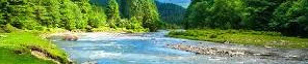 user282003948