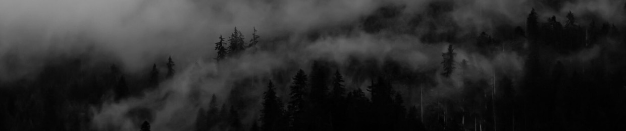 Botyzilla Free Repost