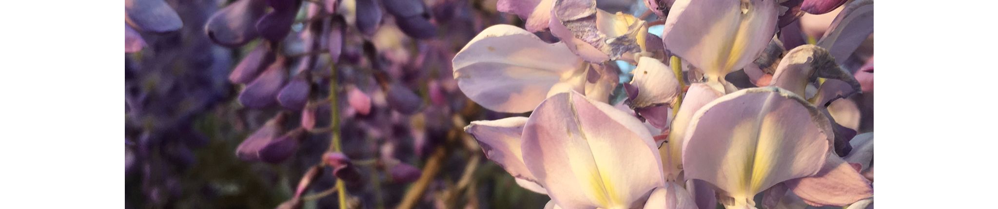 SoundCloud banner for @jqa