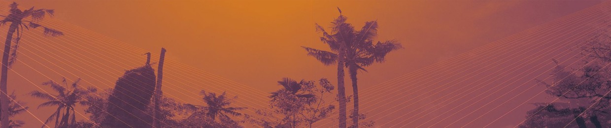 Digital Birds records