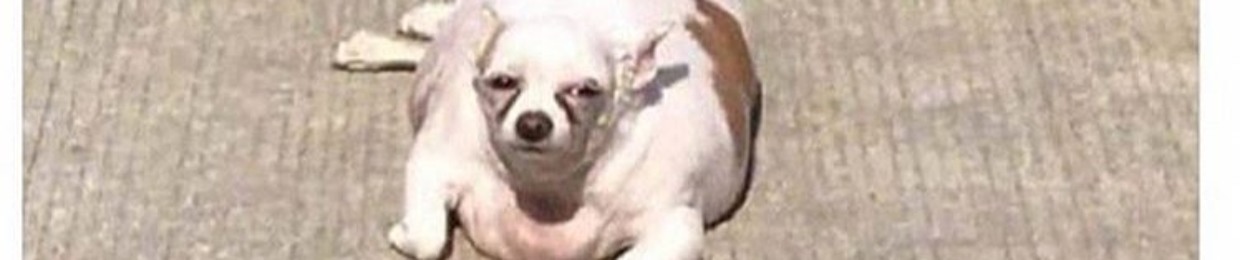 $ ! M P  G Ø D