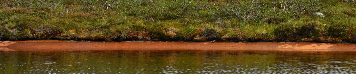 Fredd Nygård