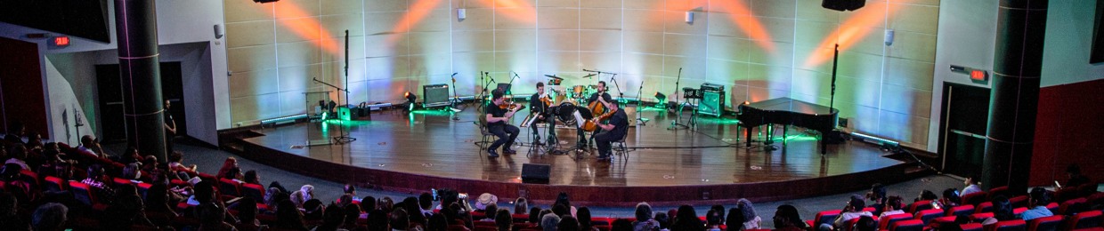 Beo String Quartet