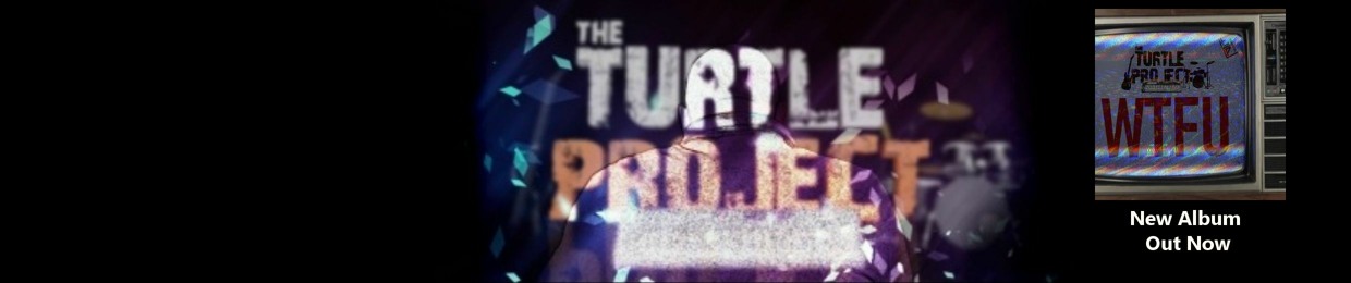the turtle project
