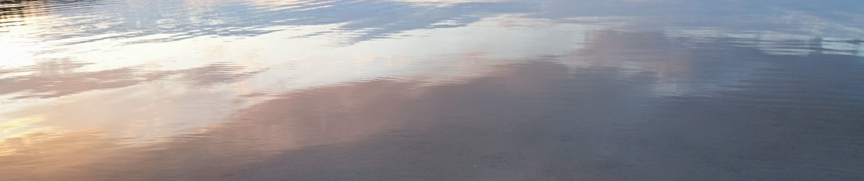 EriꓘLaiИeN