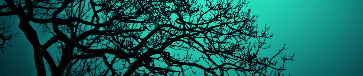 Lullaby of Catharsis