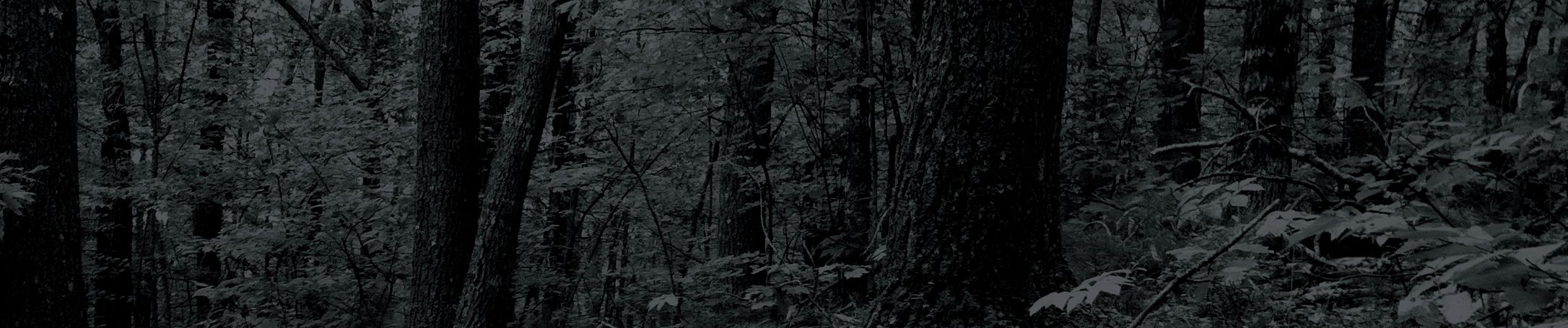 SoundCloud banner for @gutter