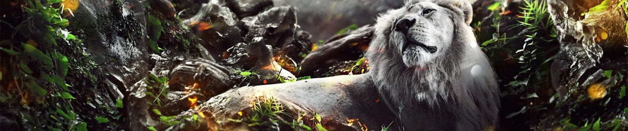 JUNGLE Enterprise Classics