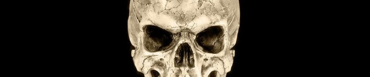 SKULL N BONES