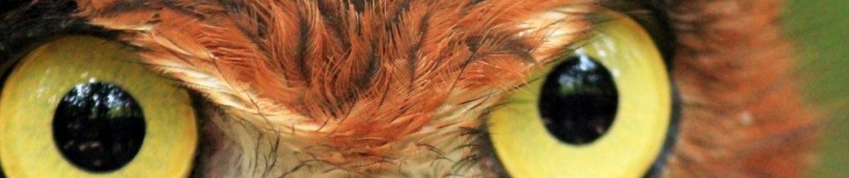 Dj Eye Tech AKA Eye Techniques