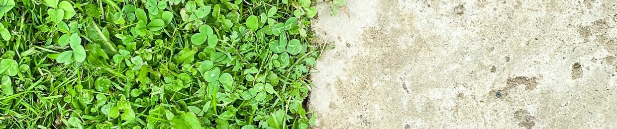 Samantha Anne Carrillo