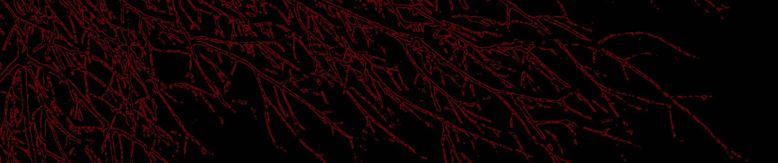 SoundCloud banner for @grim